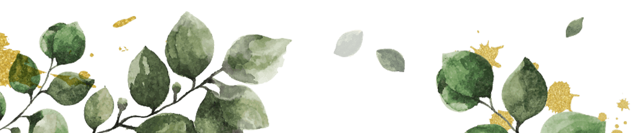 Green Leaf 11.png