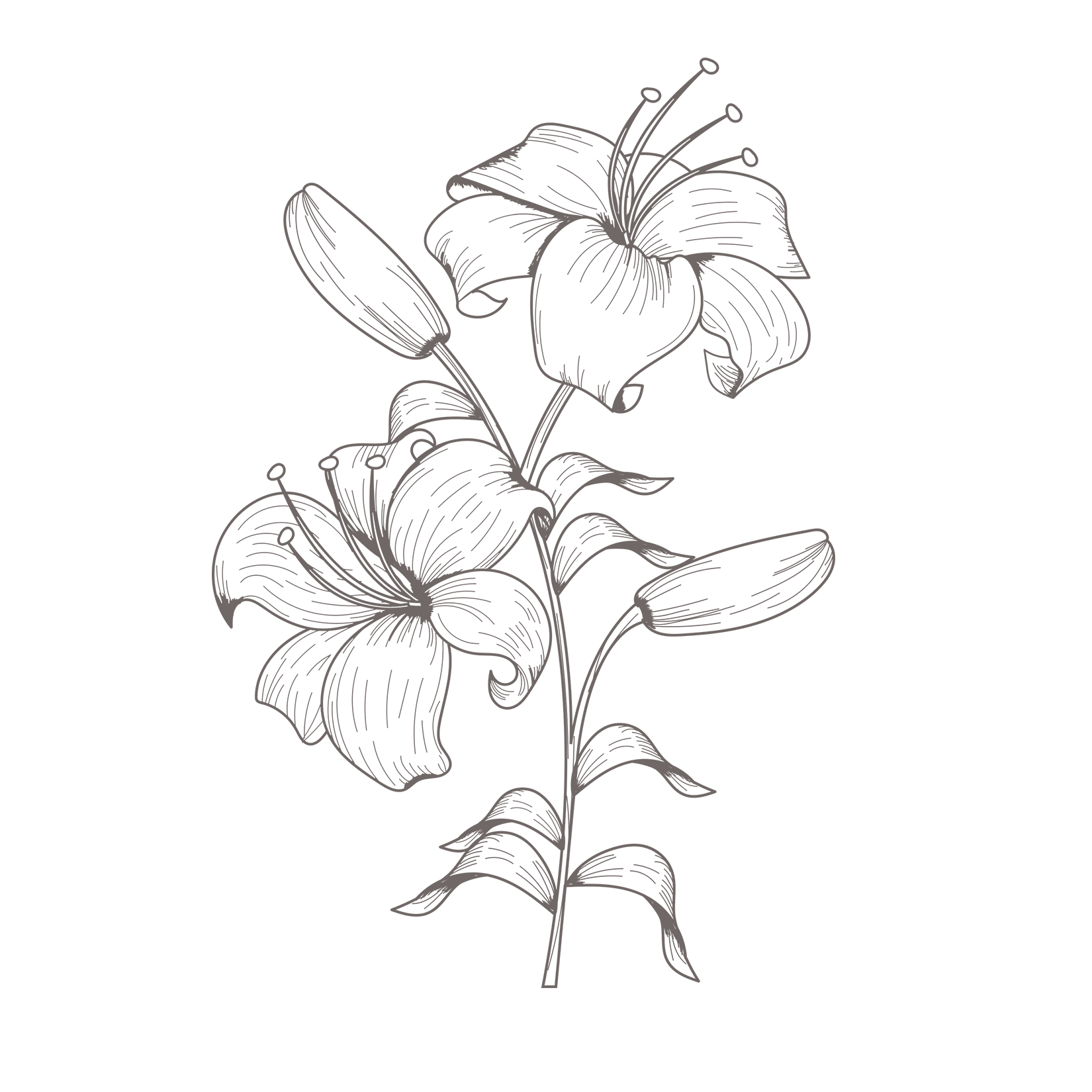 Flow 2 1.png