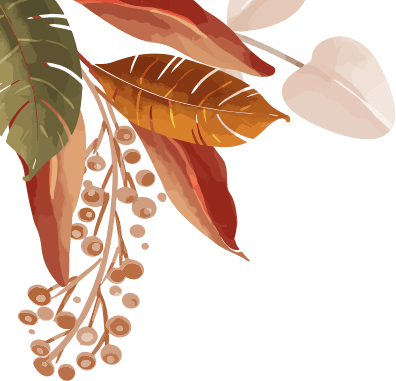 Tema scroll 04 7 1.png