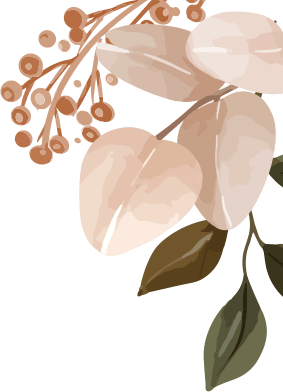 Tema scroll 04 8 e1663230357832 1.png