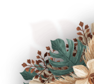 Frame tl 23 2.png