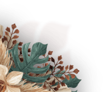 Frame tl 24 2.png