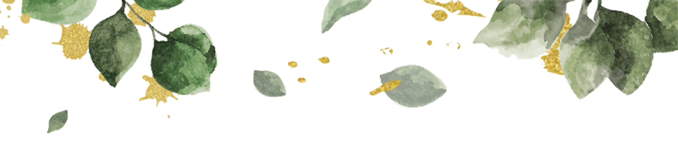 Green leaf 10.png