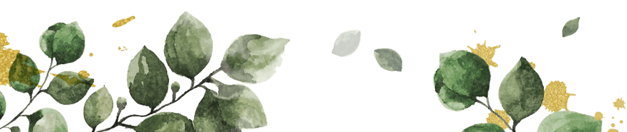 Green leaf 11.png