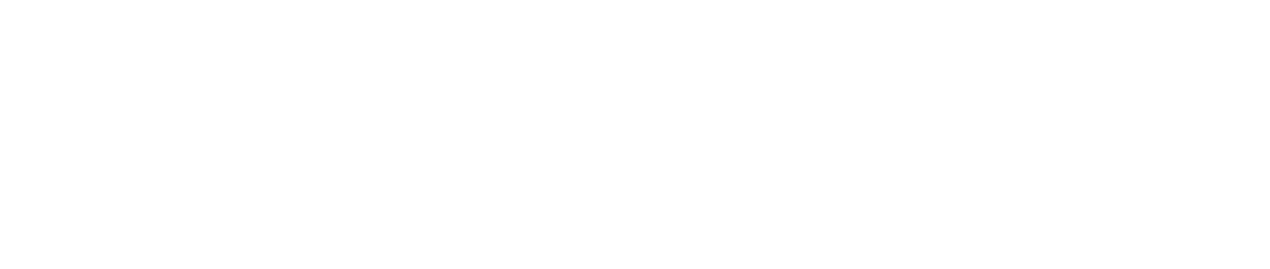 Vesual w