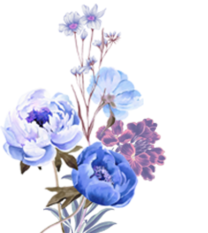 Bunga Warna Kiri 2 e1769178499306.png