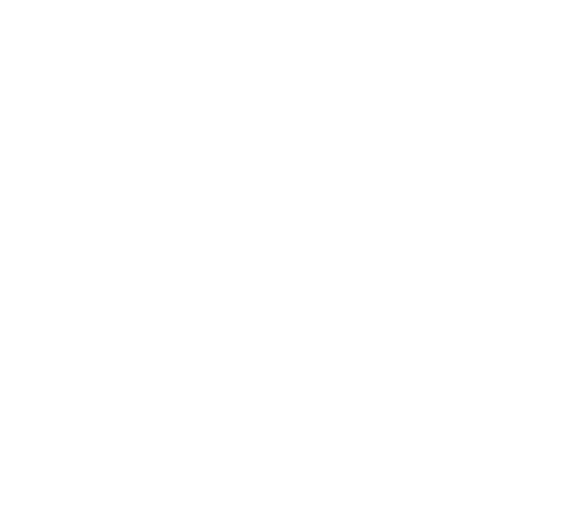 Ornament 1.png